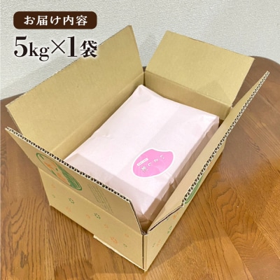 いとし米厳選夢つくし 5kg 糸島産 三島商店 [AIM018]