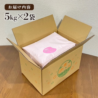 いとし米厳選夢つくし 10kg 糸島産 三島商店 [AIM044]