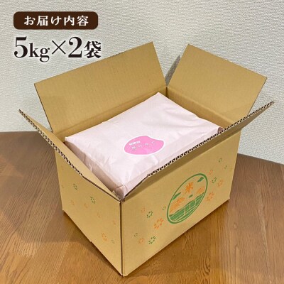 【令和8年産 新米】いとし米厳選夢つくし 10kg 糸島産 三島商店 [AIM044]