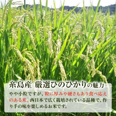 【年内発送】糸島産 いとし米 厳選ひのひかり10kg 糸島市/三島商店 [AIM045]