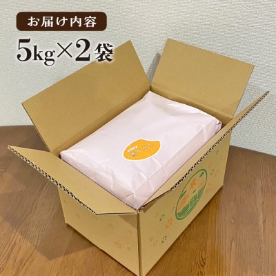 糸島産 いとし米 厳選ひのひかり10kg 糸島市/三島商店 [AIM045]