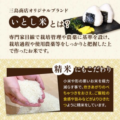 いとし米 厳選ブレンド 2kg (糸島産) 糸島市/三島商店 [AIM064]