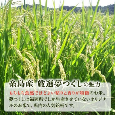 いとし米 厳選夢つくし 20kg (糸島産) 糸島市/三島商店 [AIM076]