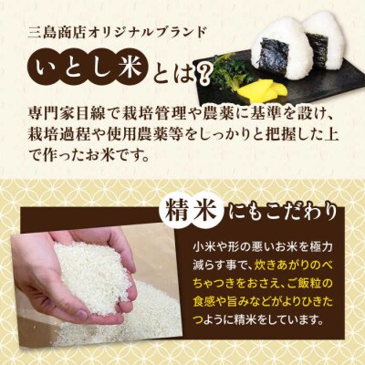いとし米 厳選ひのひかり20kg (糸島産) 糸島市/三島商店 [AIM077]