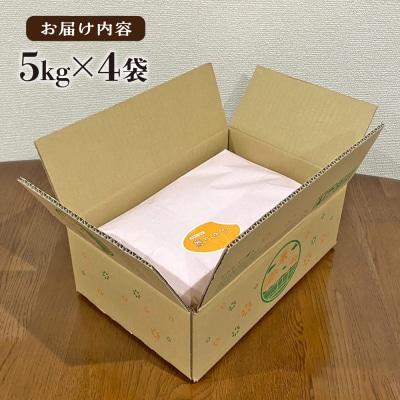 いとし米 厳選ひのひかり20kg (糸島産) 糸島市/三島商店 [AIM077]