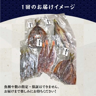 【全12回定期便】【塩にもこだわり】玄海の海 旬の干物セット(3から4人向け) [ALD007]