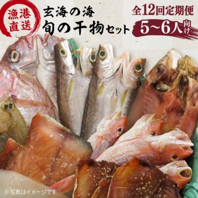 【全12回定期便】塩にもこだわり 玄海の海 旬の干物 大満足セット(5～6人向け)[ALD010]