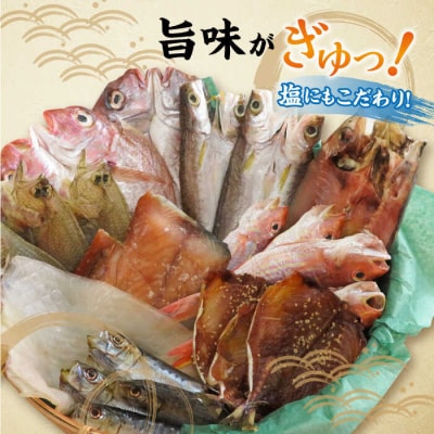 【全12回定期便】塩にもこだわり 玄海の海 旬の干物 大満足セット(5～6人向け)[ALD010]
