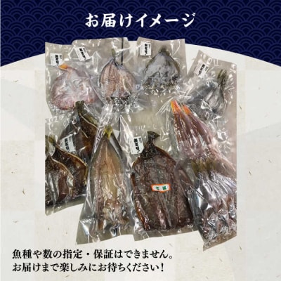 【全12回定期便】塩にもこだわり 玄海の海 旬の干物 大満足セット(5～6人向け)[ALD010]