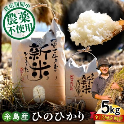 【全12回定期便】 糸島産 雷山のふもとの米 5kg [ANI005] 白米 玄米