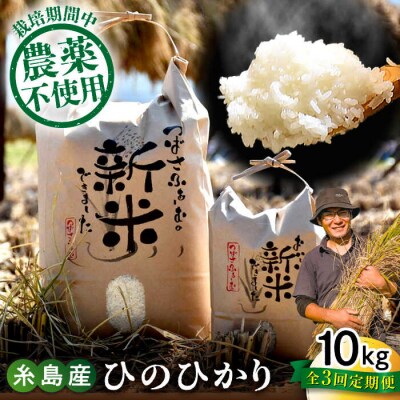 【全3回定期便】 糸島産 雷山のふもとの米 10kg [ANI006] 白米 玄米