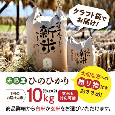 【全3回定期便】 糸島産 雷山のふもとの米 10kg [ANI006] 白米 玄米