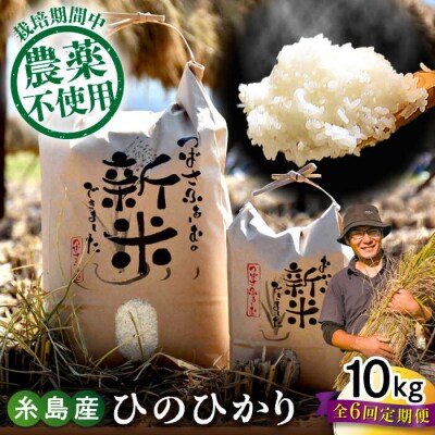 【全6回定期便】 糸島産 雷山のふもとの米 10kg [ANI007] 白米 玄米