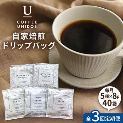 【全6回定期便】コーヒー ドリップ バッグ 40個セット(5種類 × 8個)[AQF019]