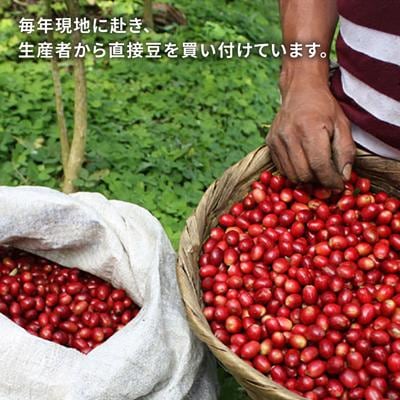 【全12回定期便】コーヒー ドリップ バッグ 40個セット(5種類 × 8個)[AQF020]