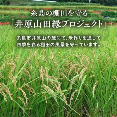 田縁米(でんえんまい)・天日(てんじつ)玄米 2kg 糸島市 [ATM002] 米 お米