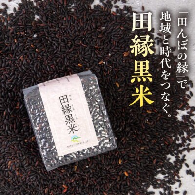 田縁黒米(でんえんくろまい)300g×3パック 糸島市  [ATM003]