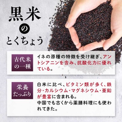 田縁黒米(でんえんくろまい)300g×3パック 糸島市 古代米 黒米 米 ご飯 [ATM003]