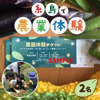 糸島で農業体験(2名) 畑で野菜のお世話体験! [AAL002]