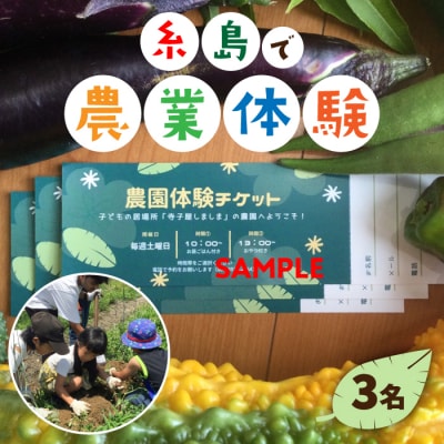 糸島で農業体験(3名) 畑で野菜のお世話体験! [AAL003]