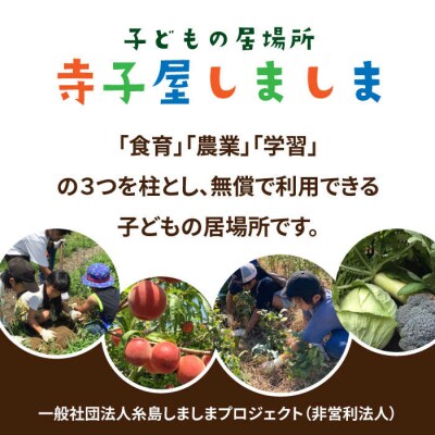 糸島で農業体験(3名) 畑で野菜のお世話体験! [AAL003]
