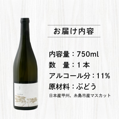 【糸島マスエワイナリ】STILL白Koshu Muscut 1本 糸島市[AEP001]