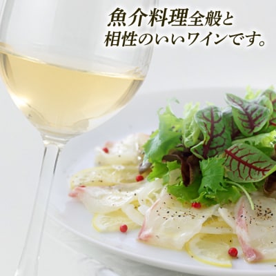 【糸島マスエワイナリ】STILL白Koshu Muscut 2本 糸島市[AEP002]