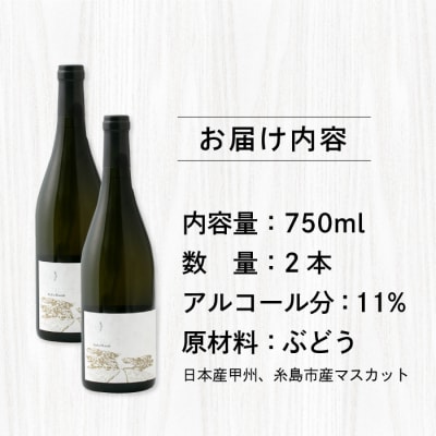 【糸島マスエワイナリ】STILL白Koshu Muscut 2本 糸島市[AEP002]