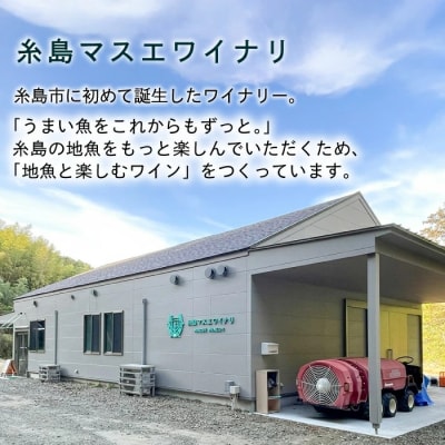 【糸島マスエワイナリ】STILL白Koshu Muscut 2本 糸島市[AEP002]