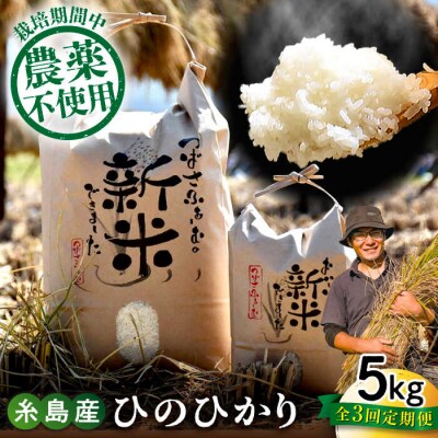 【全3回定期便】 糸島産 雷山のふもとの米 栽培期間中農薬不使用 5kg [ANI003]