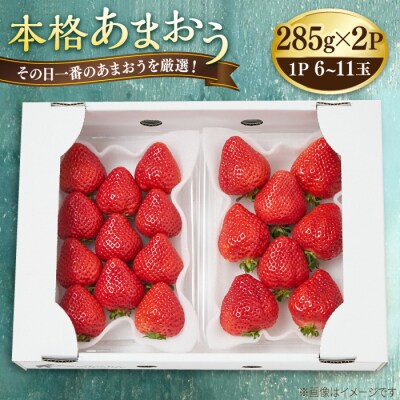 本格あまおう 285g×2パック いちご 苺 糸島市 / みのりのりん 本格あまおう 285g×2パック いちご 苺 糸島市 / みのりのりん