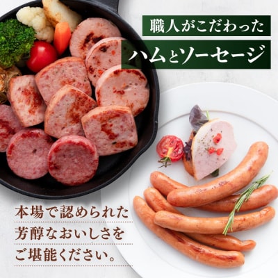 【全3回定期便】10種詰め合わせ(ハム/ソーセージ/ウインナー)糸島手造りハム [AAC022]