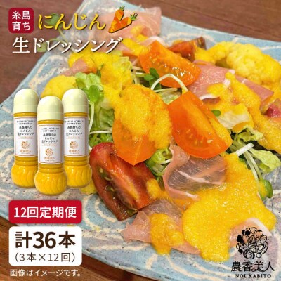 【全12回定期便】オリジナルにんじん生ドレッシング 285ml×3本セット[AAG035]