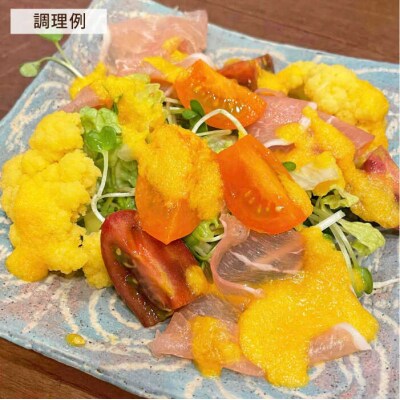 【全12回定期便】オリジナルにんじん生ドレッシング 285ml×3本セット[AAG035]