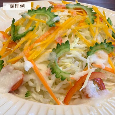 【全6回定期便】糸島そだちの白い玉ねぎ生ドレッシング ( 285ml×1本 )[AAG043]