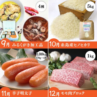 【全12回定期便】糸島がっつりお楽しみ定期便 [AAH002] 