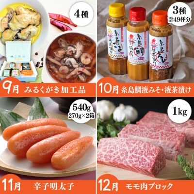 【全12回定期便】糸島がっつりお楽しみ定期便 [AAH002] 