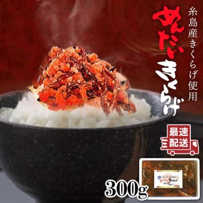 結樹農園 アグリス めんたい きくらげ 300g 《糸島》【結樹農園アグリス】[AAJ001]