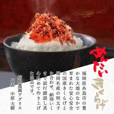 (掲載不可)結樹農園 アグリス めんたい きくらげ 300g×3P 《糸島》【結樹農園アグリス】