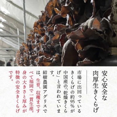 (掲載不可)結樹農園 アグリス めんたい きくらげ 300g×3P 《糸島》【結樹農園アグリス】