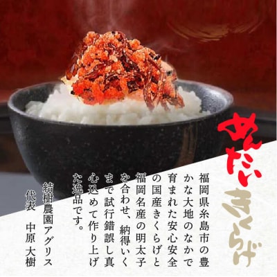 (掲載不可)【全3回定期便】結樹農園 アグリス めんたい きくらげ 300g【結樹農園アグリス】
