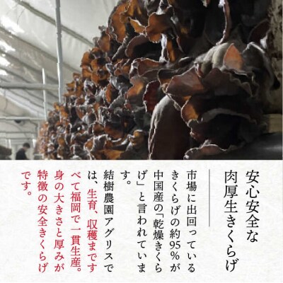 (掲載不可)【全12回定期便】結樹農園 アグリス めんたい きくらげ300g【結樹農園アグリス】