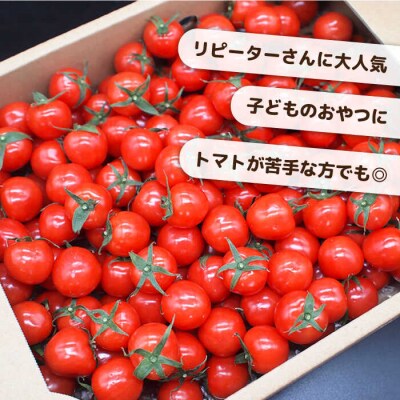 ミニトマト(プチぷよ)1kg×2箱 かわぞえ農園 ぷちぷよ トマト [AAM002]