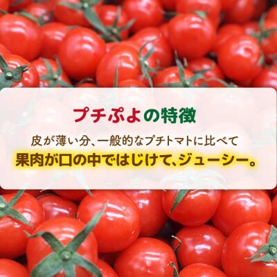 ミニトマト(プチぷよ)1kg×2箱 かわぞえ農園 ぷちぷよ トマト [AAM002]