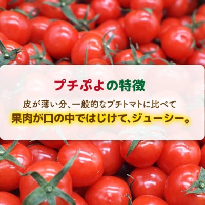 ミニトマト(プチぷよ)1kg×2箱 かわぞえ農園 ぷちぷよ トマト [AAM002]