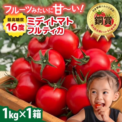 フルティカ 1kg 　糸島市 / かわぞえ農園 トマト 中玉トマト  [AAM005]