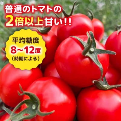 フルティカ 1kg 　糸島市 / かわぞえ農園 トマト 中玉トマト  [AAM005]