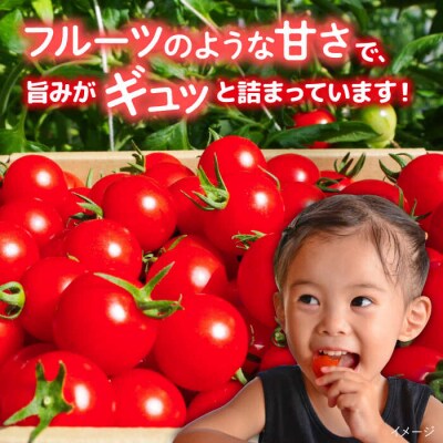 フルティカ 2kg (1kg×2箱) かわぞえ農園 [AAM006] 