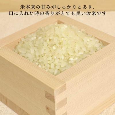 夢つくし5kg 糸島王丸農園 ( 谷口汰一 )【いとしまごころ】[AAZ001]