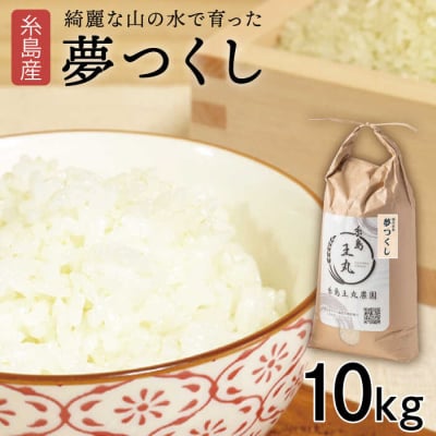 夢つくし 10kg 糸島王丸農園(谷口汰一)【いとしまごころ】[AAZ005]